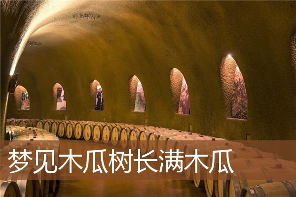 木瓜树长满木瓜