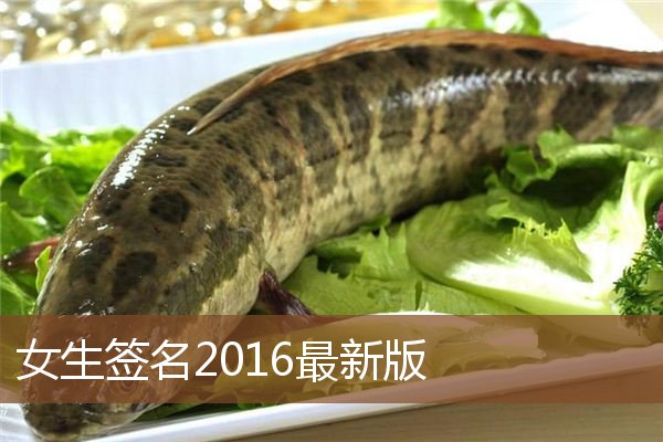 女生签名2016最新版