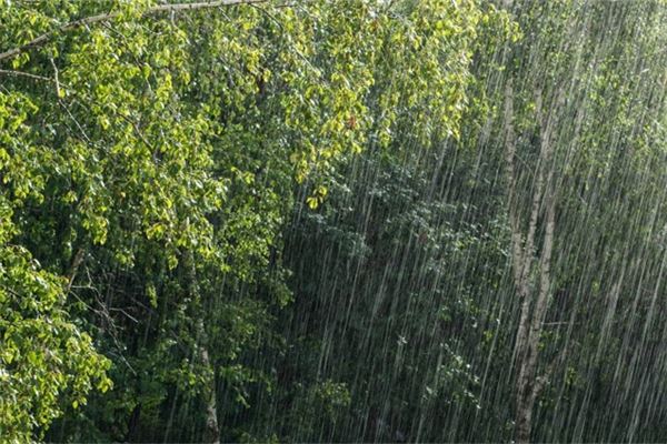 梦见发大水下大雨