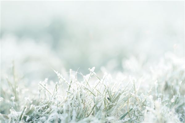  梦见霜降：霜雪不求，霜露难得《梦见霜降是什么征兆》 周公解梦