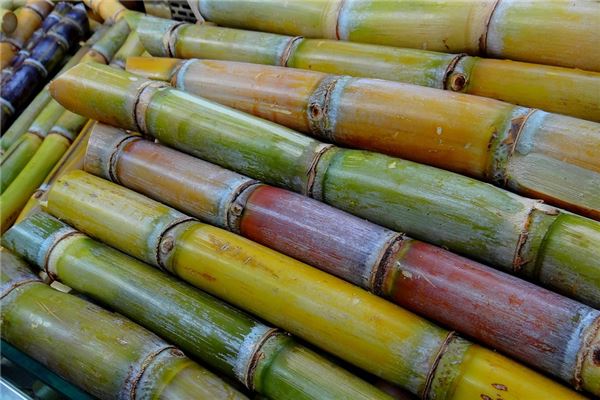 梦见甘蔗怎么回事