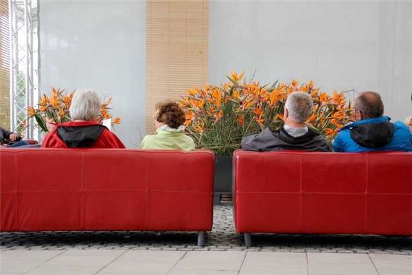 梦见重病的邻居康复了