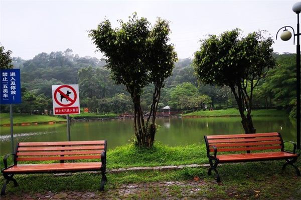 梦见雨水淋湿花草 梦见雨水淋湿花草《梦见雨水淋湿花草什么意思》 周公解梦