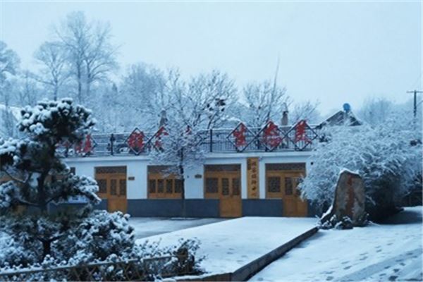 you管