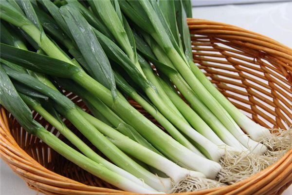 梦见大蒜 蒜苗 蒜头什么意思