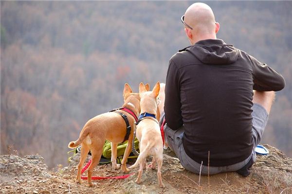 梦见头发掉光 梦见头发掉光《梦见头发掉光了是什么预兆》 周公解梦