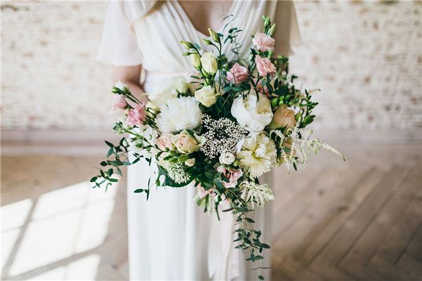 属马的“桃花	”色 属马的“桃花”色《属马的桃花是什么生肖》 生肖运势