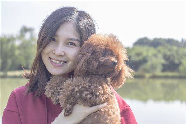 养宠物测你人际关系