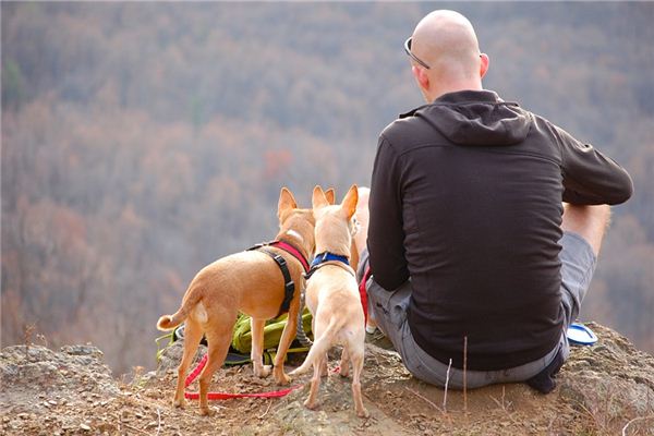 乐嘉的性格色彩测试题
