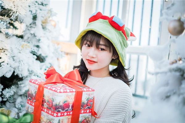 双颧