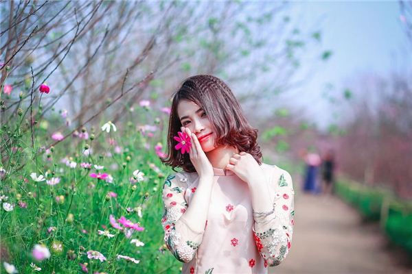 少女相夫诀