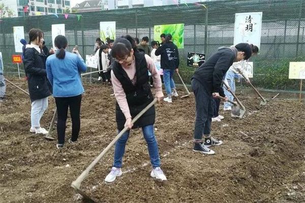 梦见挖地 松土 梦见挖地 松土《梦见挖地 松土是什么意思》 周公解梦