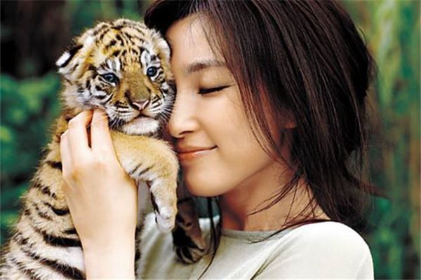 周韦彤李冰冰等女星的梦境解析