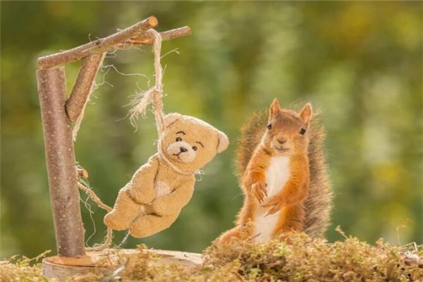 90后小三成后母 梦见被裸吊大树下