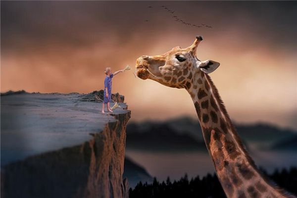 从梦境看一个人的性格，一学就会！