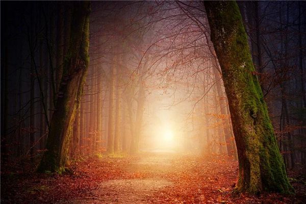 梦境和现实是不是相反的?