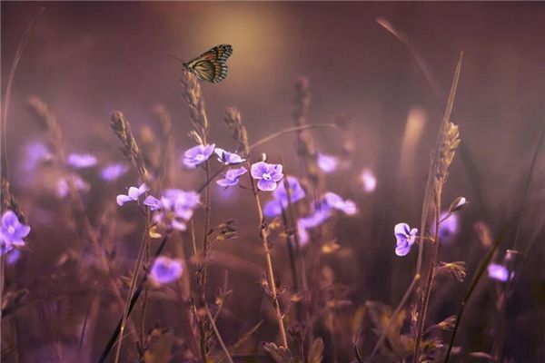 预示犯小人后的化解术