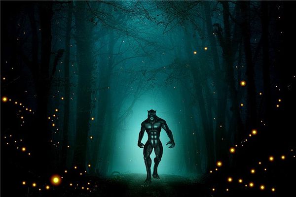 敏感型体质下的鬼梦与预言梦