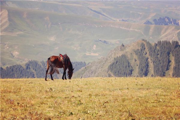 去了会让你做噩梦的十大场所