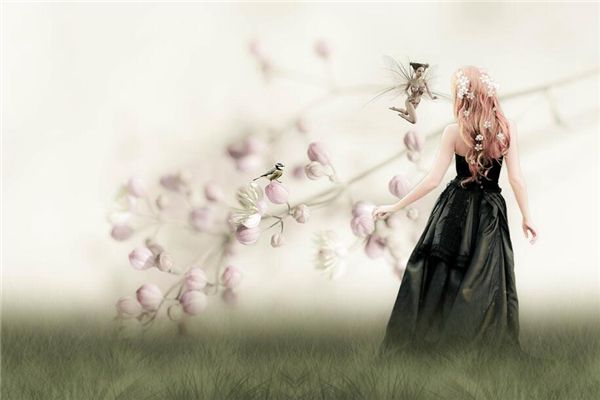 预示一年都有好运的梦