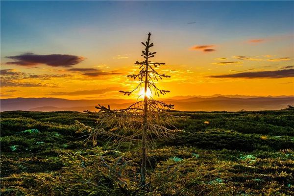 你的爱情危机演绎出来的六种梦境