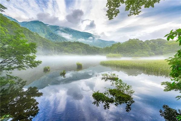 揭秘梦里的十种诡异心思