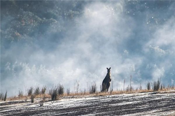 梦境辨别你是否出生权贵