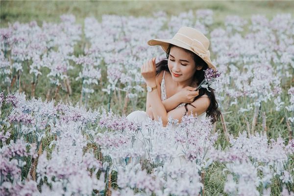 英文网名带翻译