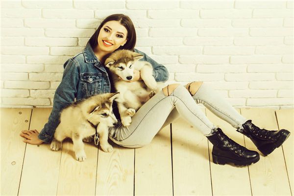 手相图解大全:15、杂纹吉凶占卜