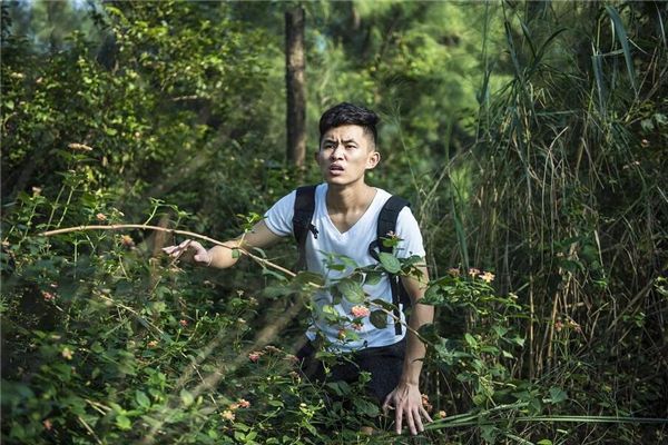 梦见旅游迷路