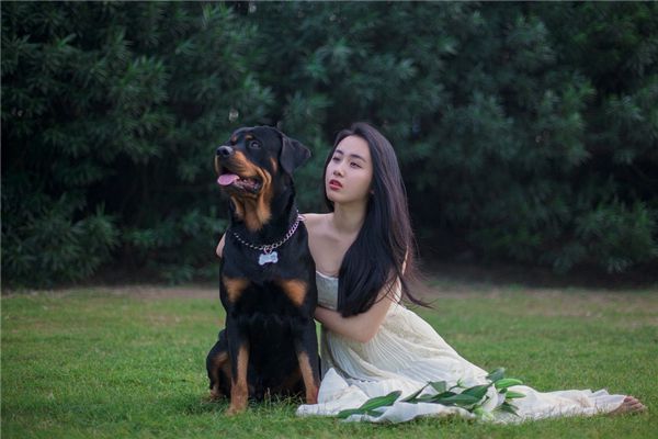 梦见穿白纱