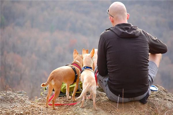 梦见别人谢顶