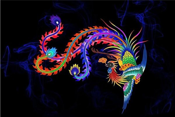 梦见金凤凰