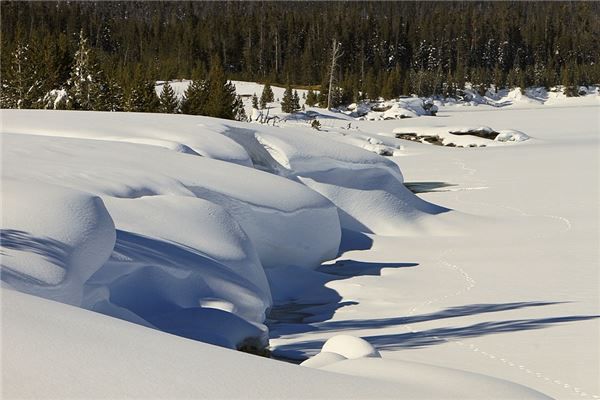 梦见别人在积雪的路上滑倒