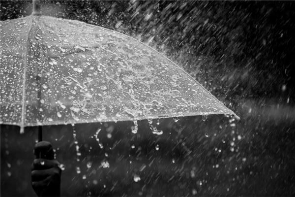 梦见彩虹雨