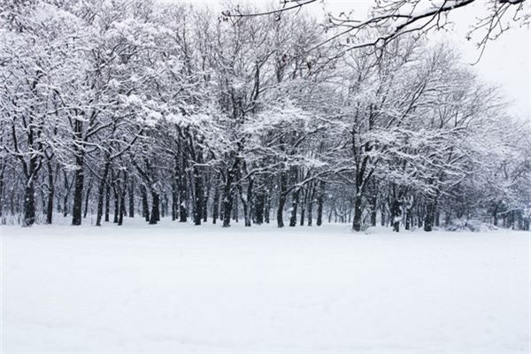 梦见狂风暴雪
