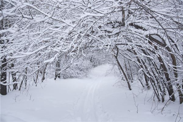 梦见过年下雪