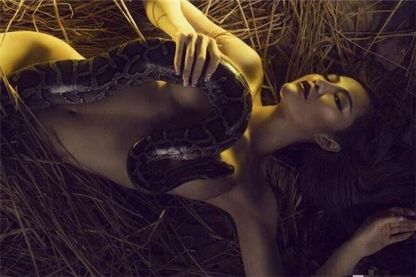 梦境缠绕，女性为何频繁梦见蛇？