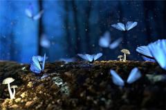 关于本站周公解梦数据