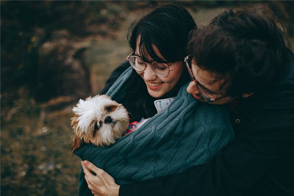 梦到女朋友代表什么（梦到女朋友代表什么生肖） 梦到女朋侪
代表什么（梦到女朋侪
代表什么生肖） 卜算大全