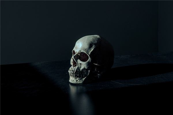 梦见有人去世