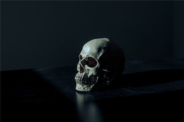 梦见有人死了