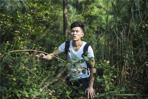 梦见自己迷路了是什么意思 梦见自己迷路了是什么意思