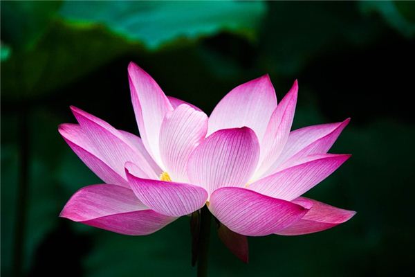 you管