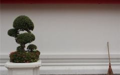 you管