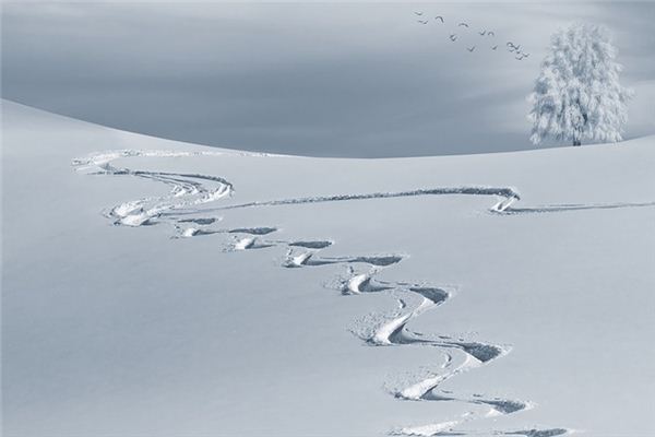 梦见扫雪是什么意思 梦见扫雪《梦见扫雪是什么意思,什么征兆》 周公解梦