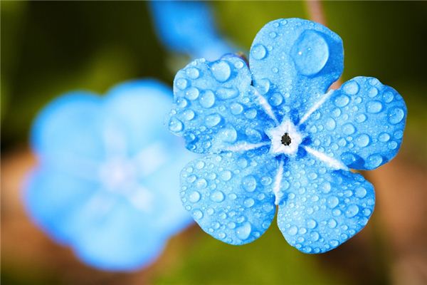 梦见雨停了是什么意思 梦见雨停了《梦见雨停了路上全是水》 周公解梦