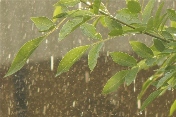 梦见下雨天（梦见下雨天伞坏了怎么回事?） 梦见下雨天（梦见下雨天伞坏了怎么回事?） 卜算大全