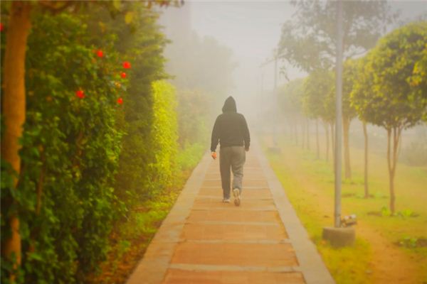 梦见被跟踪是什么意思 梦见被跟踪《梦见被跟踪后来逃脱了是什么意思》 周公解梦