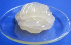 you管